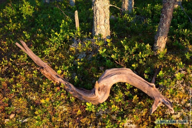 Водный поход по Карелии