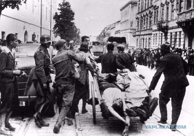 81 год трагедии Бабьего Яра