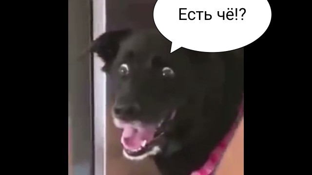Странная женская натура. Вам для чего это надо?