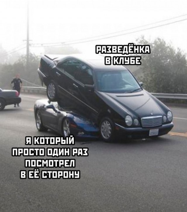 Весёлый полтишок 10.11.22