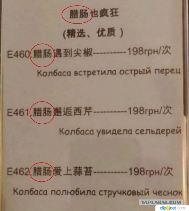 Меню на русском в китайском ресторане