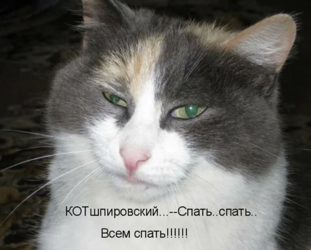 Победная поступь идиотизма по планете – том 3