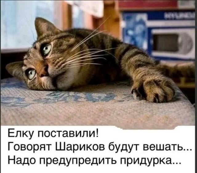 Юмор в картинках и без