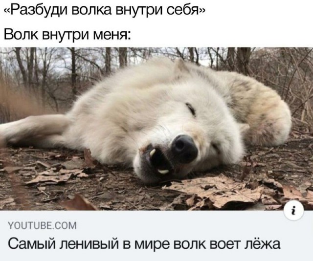 Картинки и мемы, выходные продолжаются