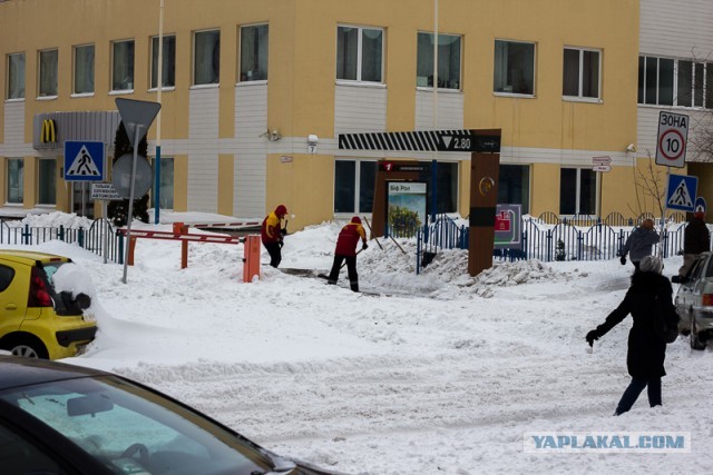 23 марта. Киев. Весна.