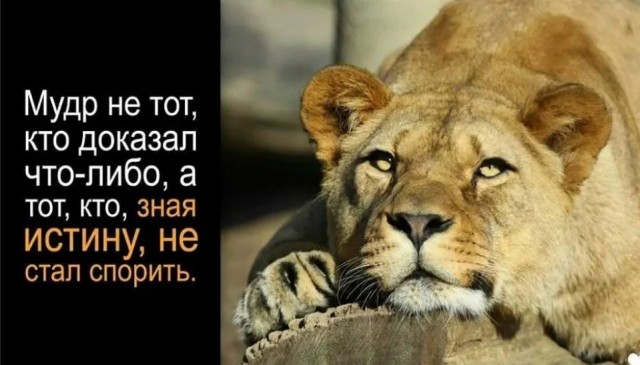 Победная поступь идиотизма по планете – том 14