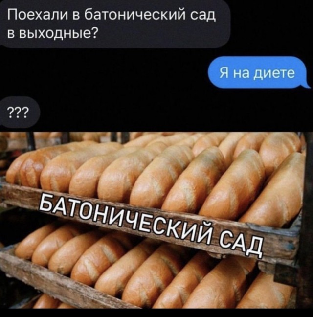 Весёлый полтишок 08.07.23