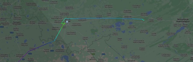 Самолет «Уральских авиалиний» совершил экстренную посадку в поле