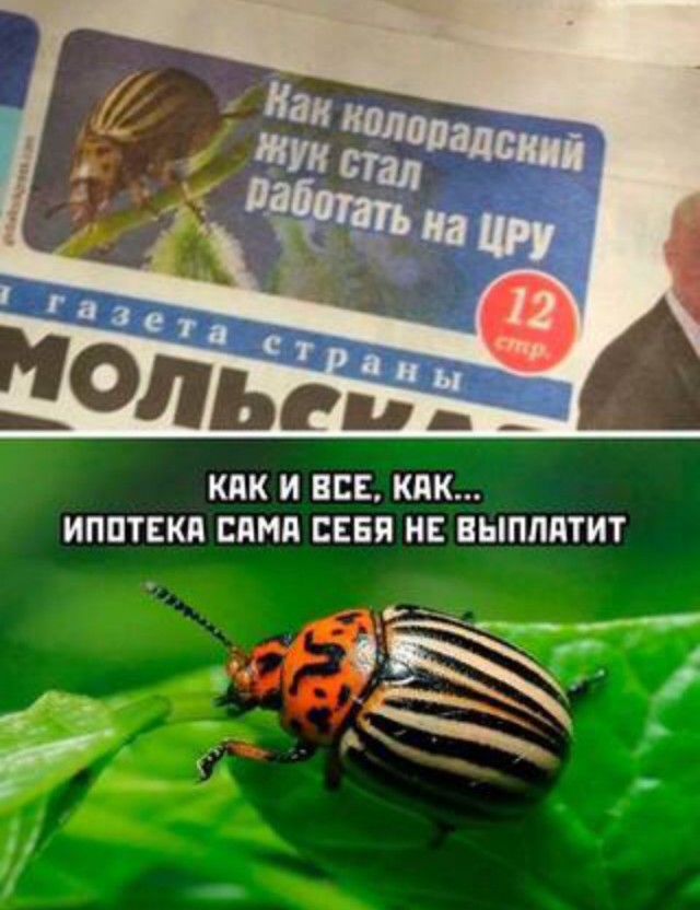 Всего понемногу. От 05.10.23