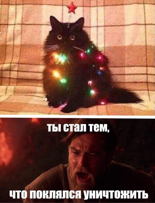 Весёлый полтишок 31.12.23