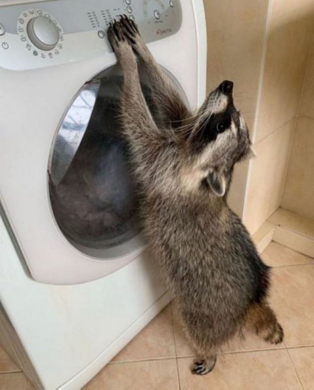 ФотоВинегрет