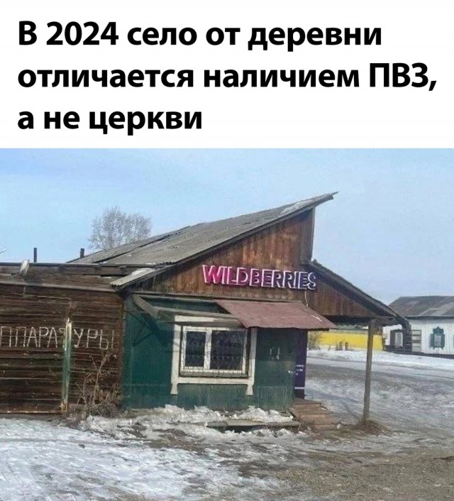 Весёлый полтишок 27.08.24
