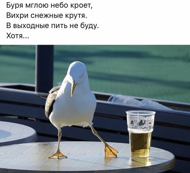 Немножко для пятницы. Солянка