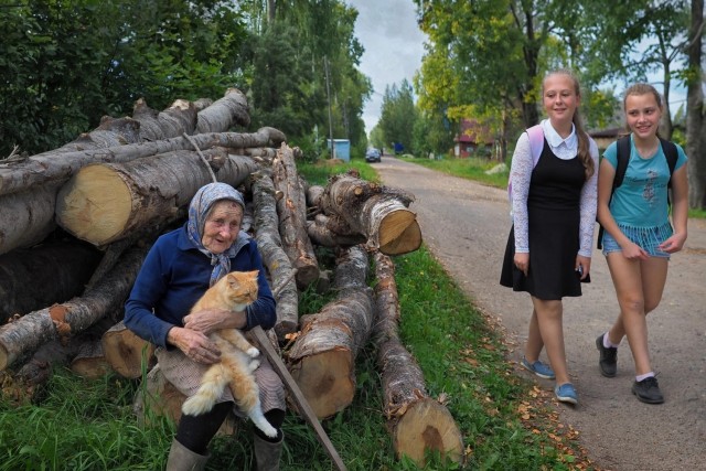 Эх, люблю я Петросяна.