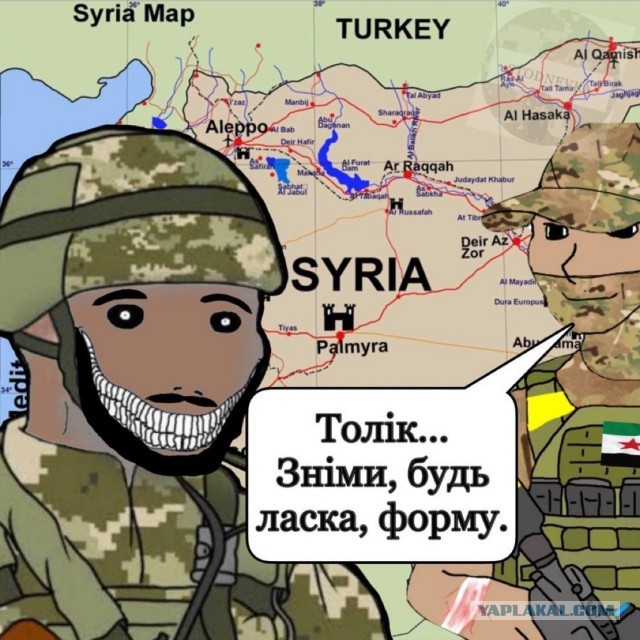 Алеппо всё (Сирия)