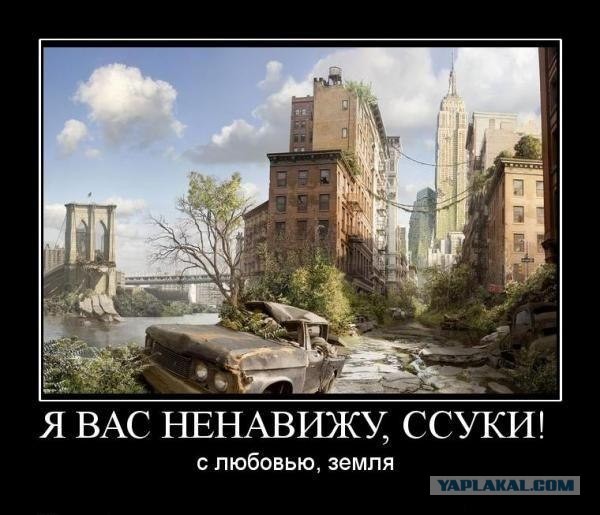 Подборка демотиваторов (14 фоток)