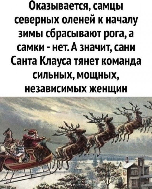 Прикольные и просто красивые картинки 07.01.2025