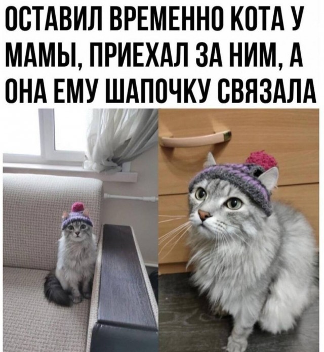 Шапочки