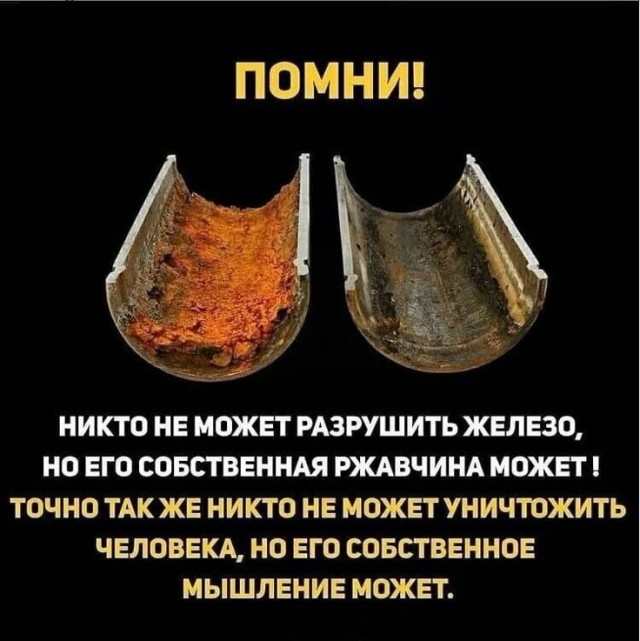 Прикольные и просто красивые картинки 04.04.2025