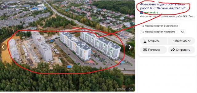 Кострома. Уничтожение леса!