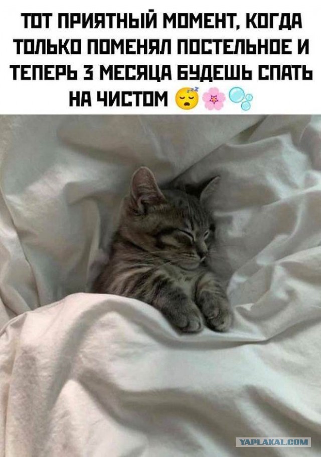 Юмор для тех, кто уже повзрослел и понял, что «готовка» — это разогреть вчерашний суп