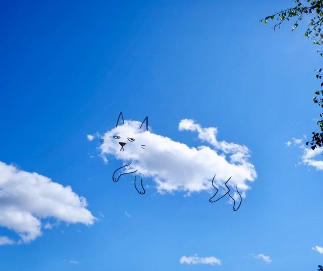 Так себе картинки 06.07.25