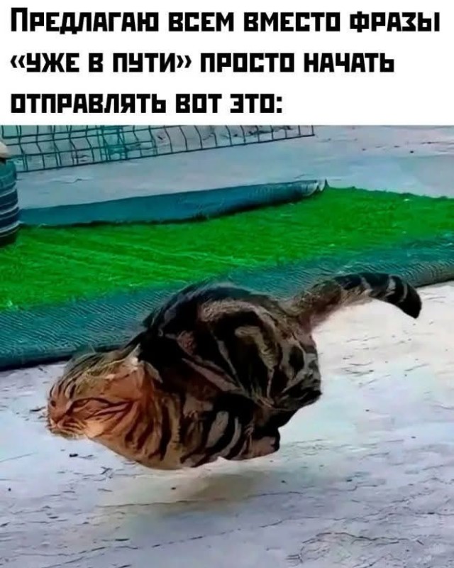 Маленькая пятница 16.07