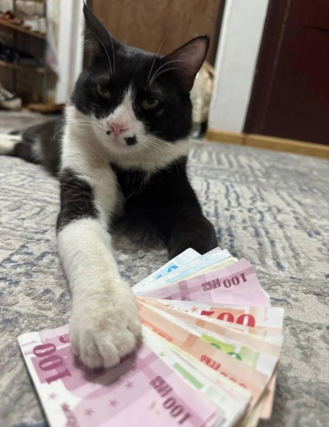 По просьбам трудящихся. Завалялось.