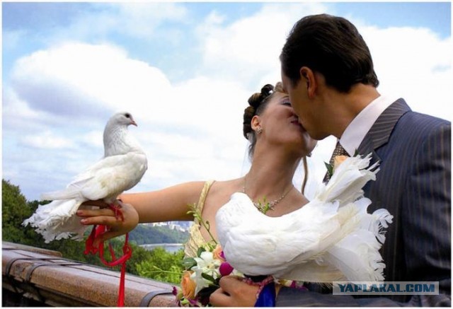 Россиянам могут запретить жениться более трех раз