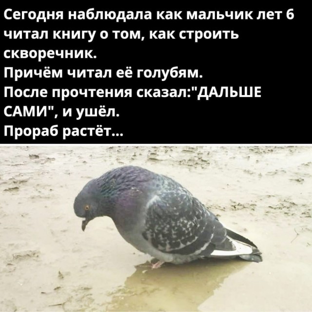 Веселые картинки в пятницу (25.07)
