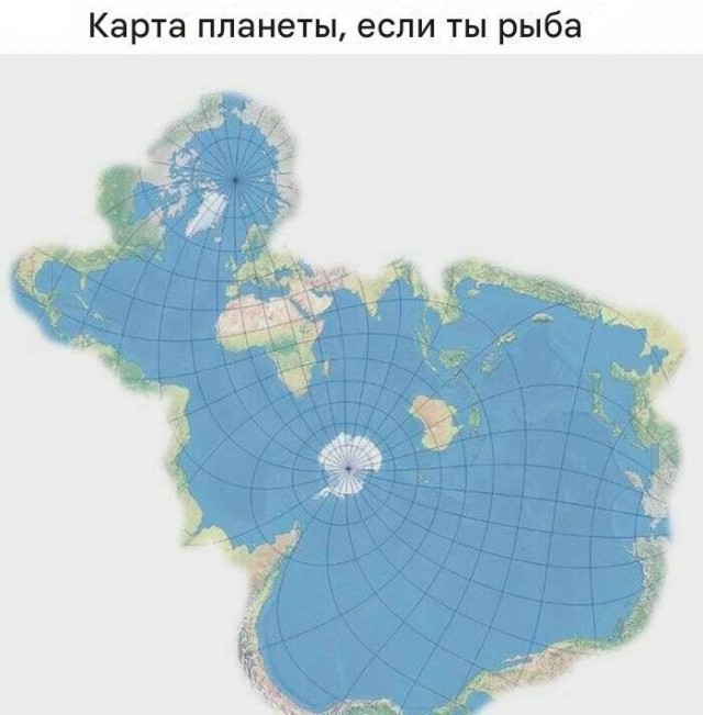 Немного картинок 31.07.25