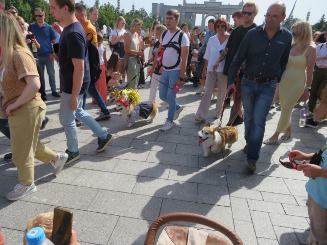 Парад корги в Москве на ВДНХ
