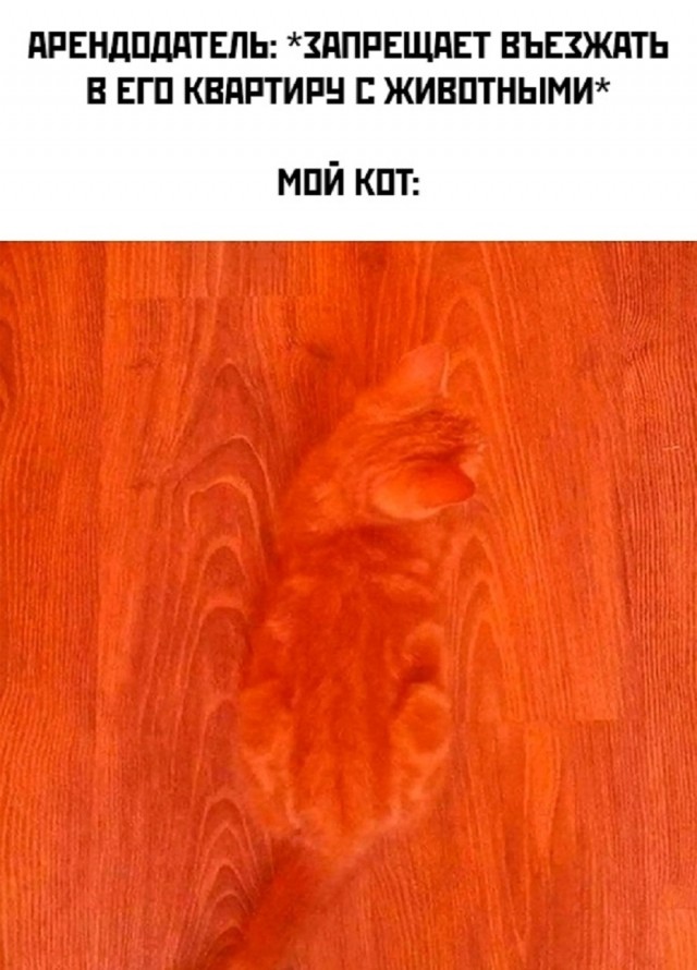 Так себе картинки 14.10.25