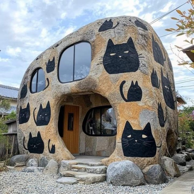 Прикольные и просто красивые картинки 18.11.2025