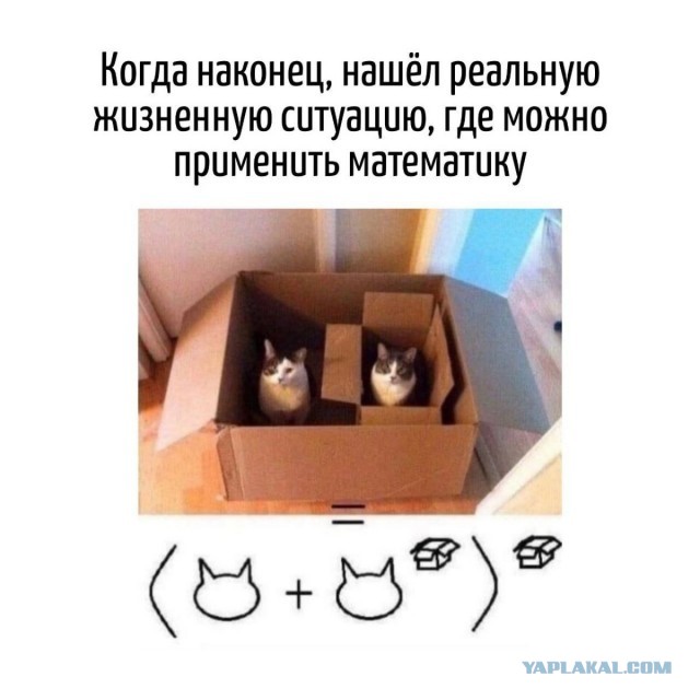 Игра слов в картинках 25.12.25