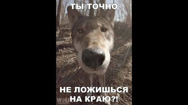 Теперь эту девушку будут обходить километрами животные