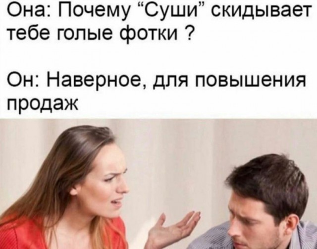 Мой кот - дизайнер интерьеров.