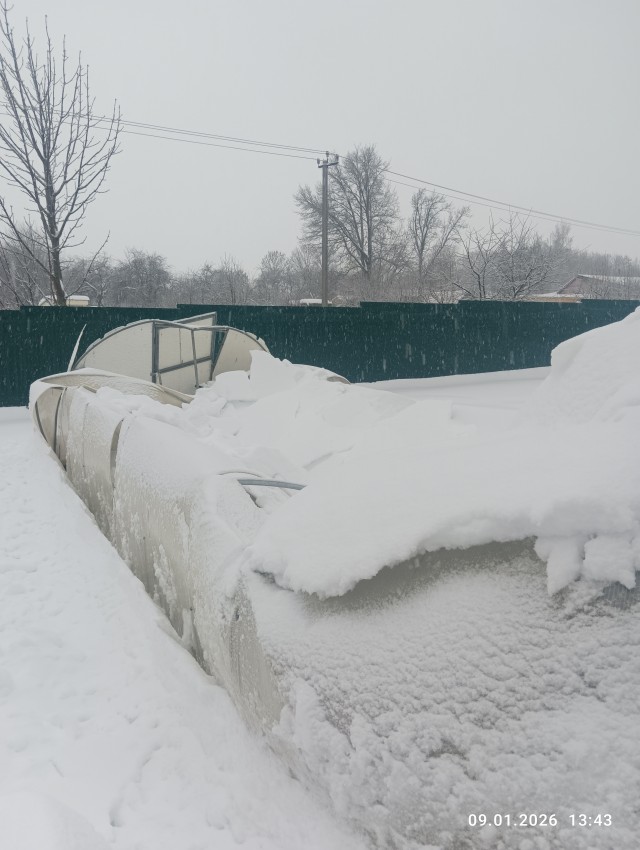 Френсис падла