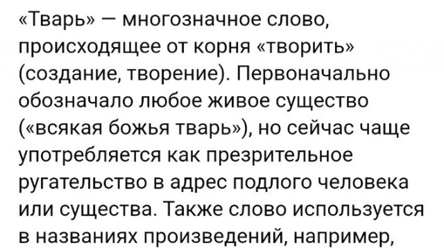 Вот жеж тварь  на Лексусе, куда летел?