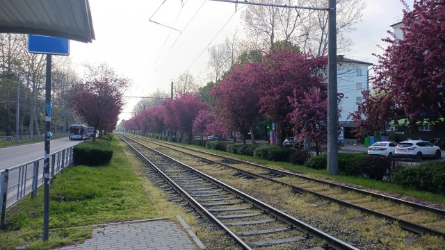Формула 1 2025 и 2026