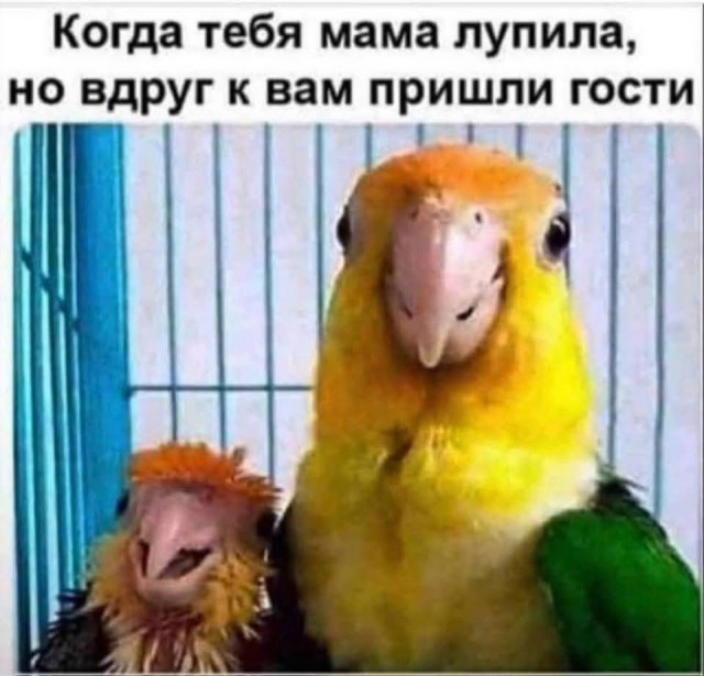 Маленькая пятница