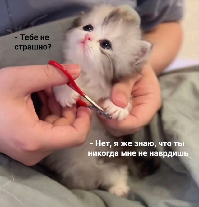 Так себе картинки 30.06.26