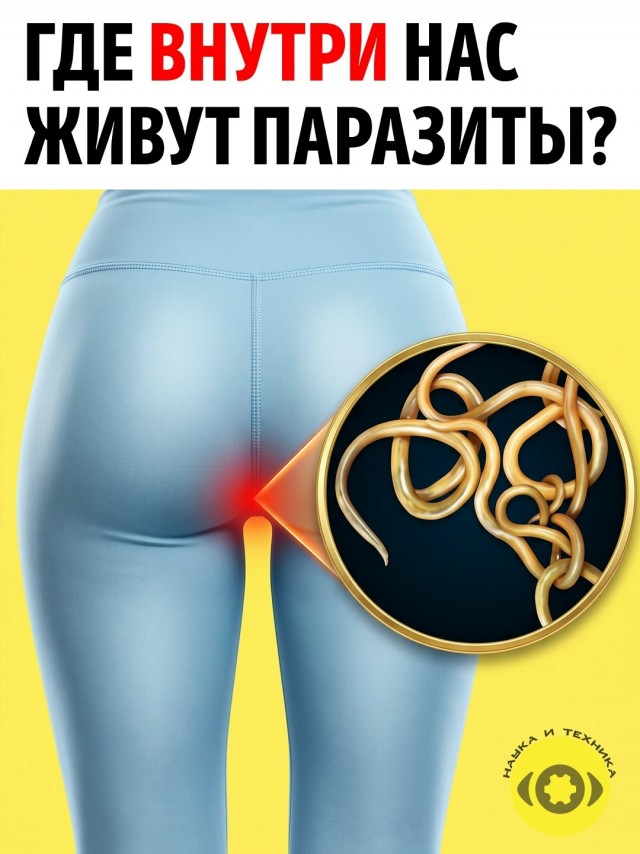 Познаём наш внутренний мир