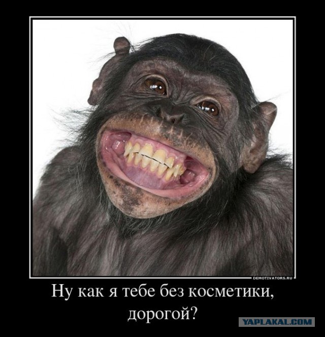 Как меня в Амвей звали.Бизнес или развод?