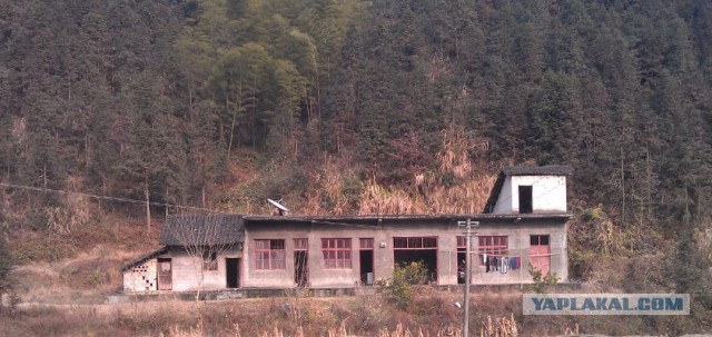 Мой родной город