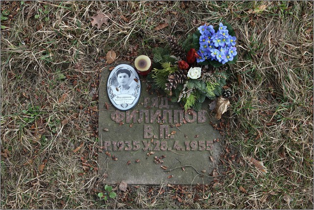 Брошенные и забытые