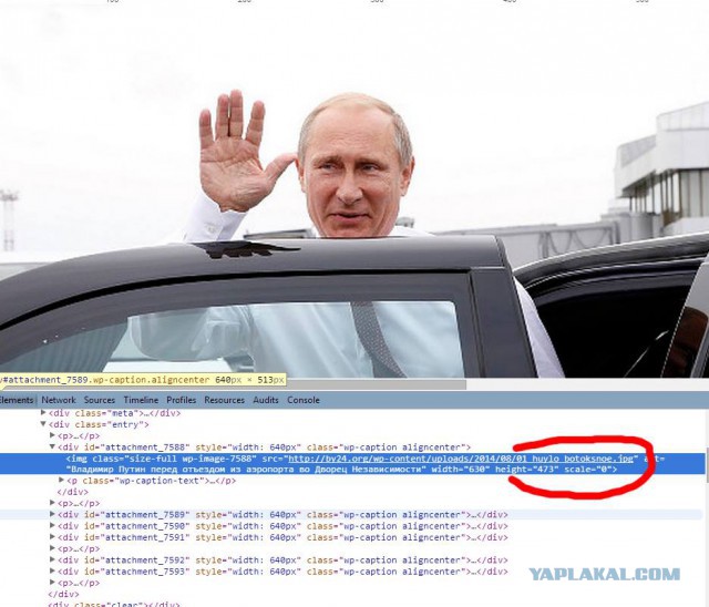 Кто кого боится видно сразу