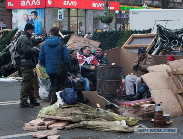 Это они выскакали десятки тысяч трупов