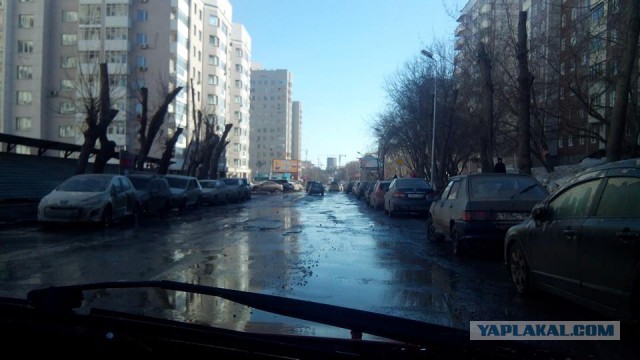 Девушки обнажились в Новосибирске.