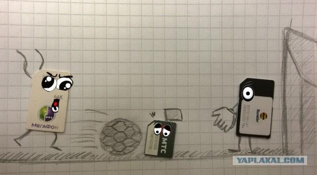 Жизнь SIM